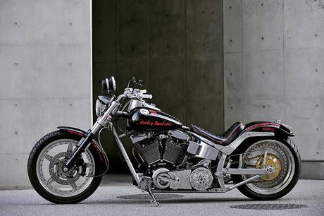 Harley FXSTC 2003 by Hot-Dock Custom Cycles