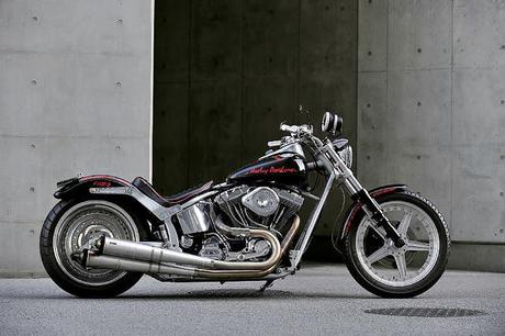 Harley FXSTC 2003 by Hot-Dock Custom Cycles
