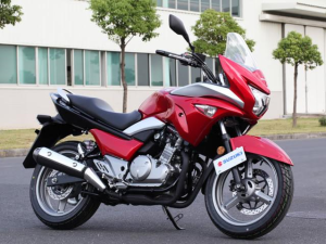 Suzuki-inazuma-gw250s