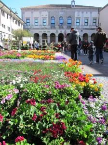 Cividale del Friuli - Festa di primavera - piazza Duomo