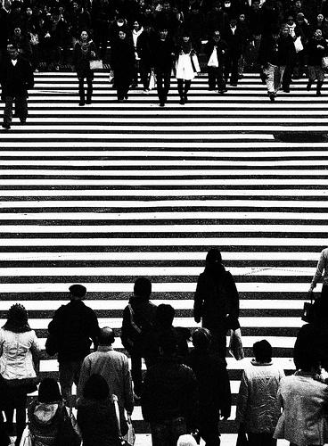 Before the storm, Shibuya