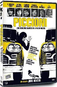 piccioni