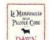 meraviglia delle piccole cose (Dawn French)