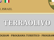 Concorsi dell'olio: riparte TerraOlivo 2013 MIOOC Jerusalem grande novità