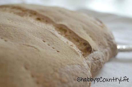 Pane casereccio alla Siciliana & Amore .. Ricetta