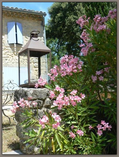 Tra canti di cicale e profumo di rosmarino..un bellissimo mas in Provenza