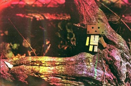 Danbo on dishwashed film Danbo on dishwashed film