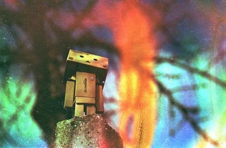 Danbo on dishwashed film Danbo on dishwashed film