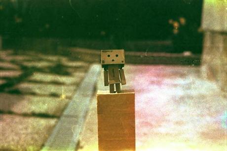 Danbo on dishwashed film Danbo on dishwashed film