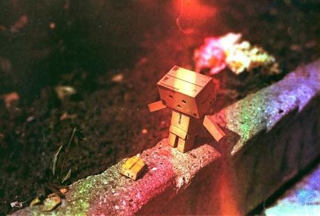 Danbo on dishwashed film