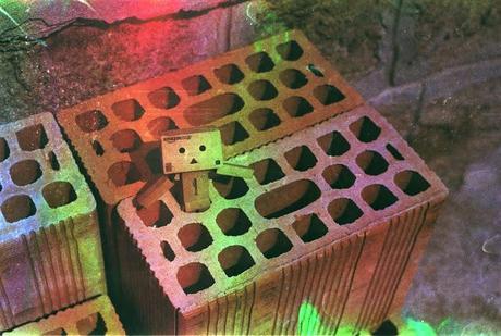 Danbo on dishwashed film Danbo on dishwashed film