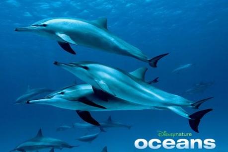 Oceans – Incontro al Museo di storia naturale