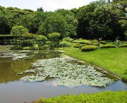Giardini imperiali a Tokyo