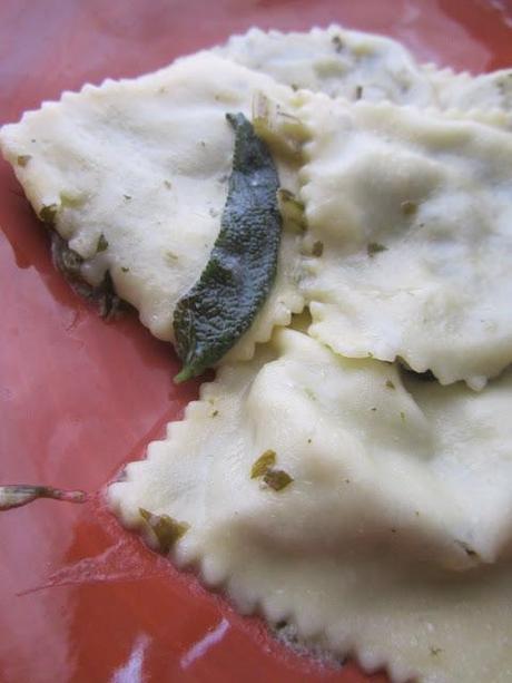 Ravioloni di Catalogna al Castelmagno Gluten-Free