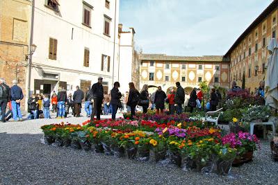 mercato dei fiori in Piazza del Seminario
