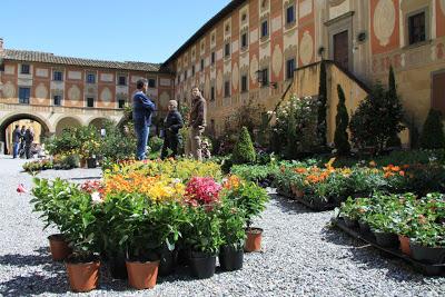 mercato dei fiori in Piazza del Seminario