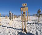 Cottesloe_Beach_Sculptures