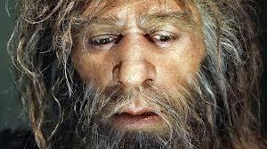 Perchè i Neanderthal si sono estinti? Nuove ipotesi