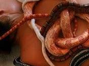 Snake Therapy, massaggio serpenti!