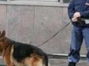 Roma Bella Monaca Maxi operazione antidroga