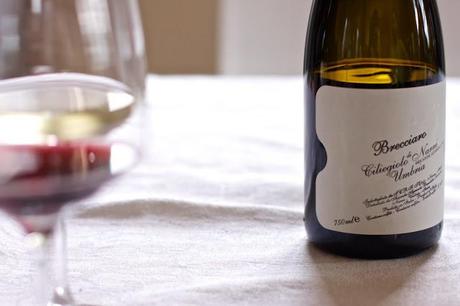Ciliegiolo di Narni by Leonardo Bussoletti - a great wine that can speak about its country