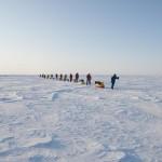 North Pole Expedition