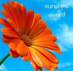 Quinto premio per il blog: 'Sunshine Award'