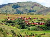 Madagascar Fame locuste stringono l'isola morsa