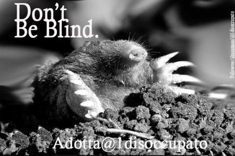 @dotta1disoccupato__dontbeblind