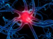 Parkinson: cos’è colpisce