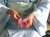 Cerimonia Giapponese Jesi