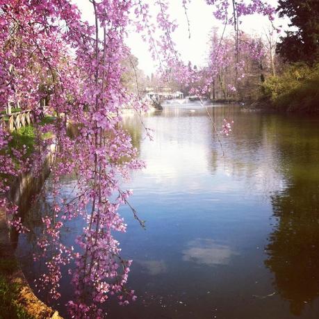 Waiting for Spring...in Riccione ♥