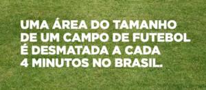 wwf_deforesta_un_campo_da_calcio_in_brasile_1