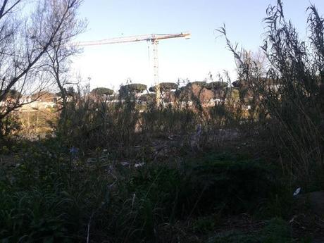 Tutta sta fatica per trovare una nuova discarica quando già c'è ed è in piena città: il Tevere. Ecco cosa succede a Marconi