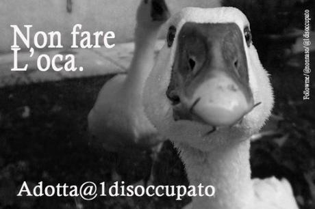 adotta@1disccupato_nonfareloca