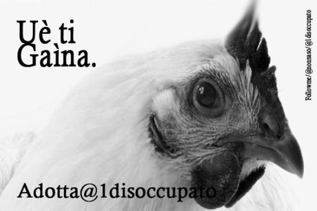 adotta@1disccupato_gaina