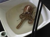 Tanto finto sembrare vero