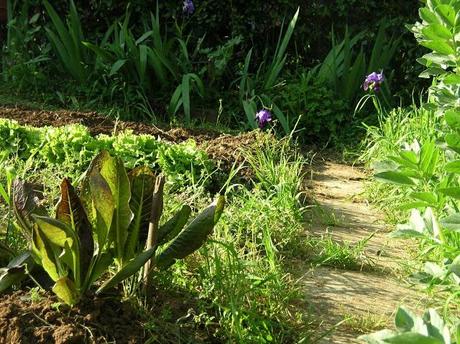 L'orto-giardino si sveglia!