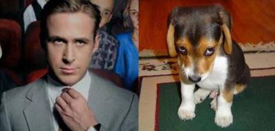 Is Ryan Gosling cuter than a puppy?