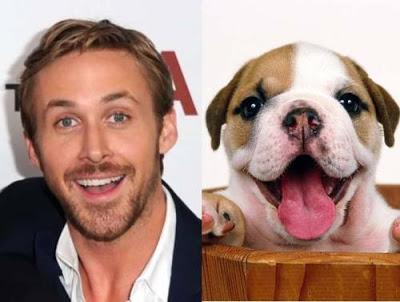 Is Ryan Gosling cuter than a puppy?