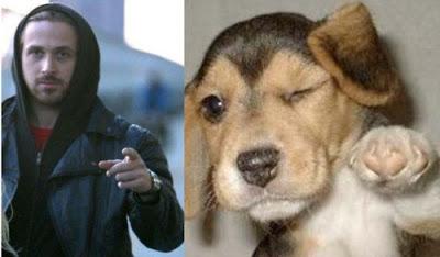 Is Ryan Gosling cuter than a puppy?