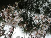 Week Aprile Maggio, qualche idea primavera
