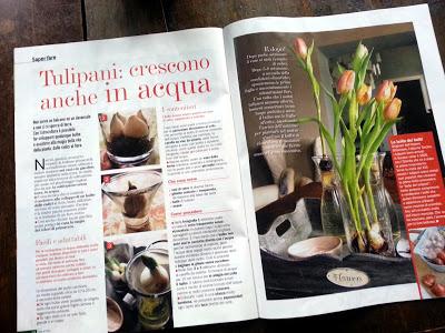 Bulbi in acqua _Casa in fiore di aprile