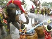 Songkran, festeggia gavettoni degli elefanti