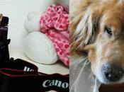 Can(on).