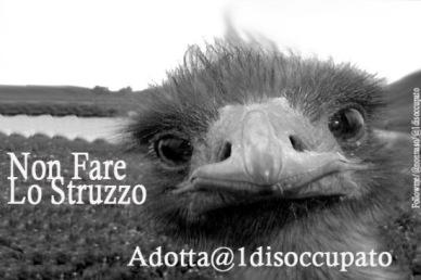 dotta1disoccupato_nonfarelostruzzo