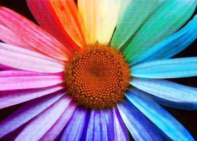 Tre colori per dipingere Tre colori per dipingere