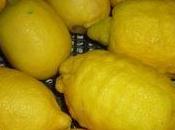 Limoncino Limoncello)
