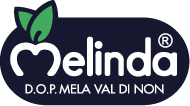 logo_melinda