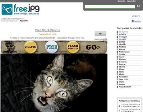 FreeJPG - grande collezione di foto digitali da scaricare gratis